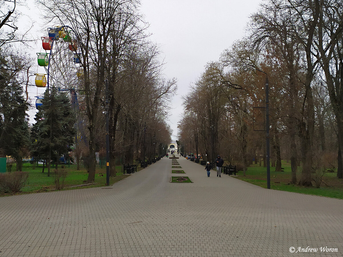 Аллея парка, вид в сторону главного входа