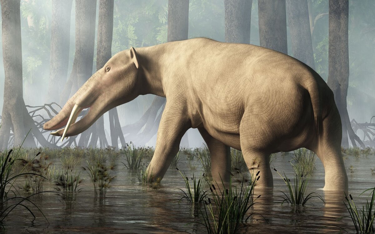 Какими были доисторические предки слонов: 5 самых необычных гигантов с бивнями