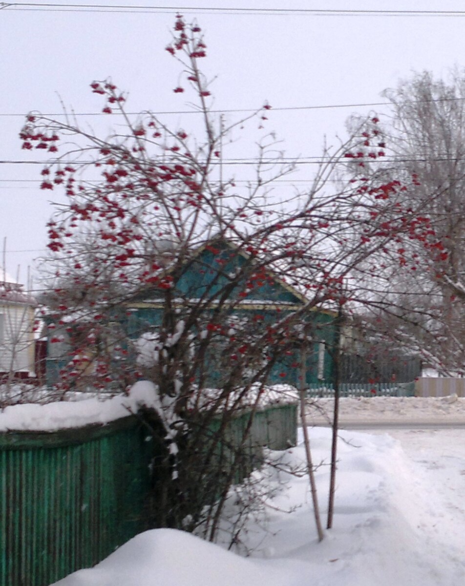 Фото автора