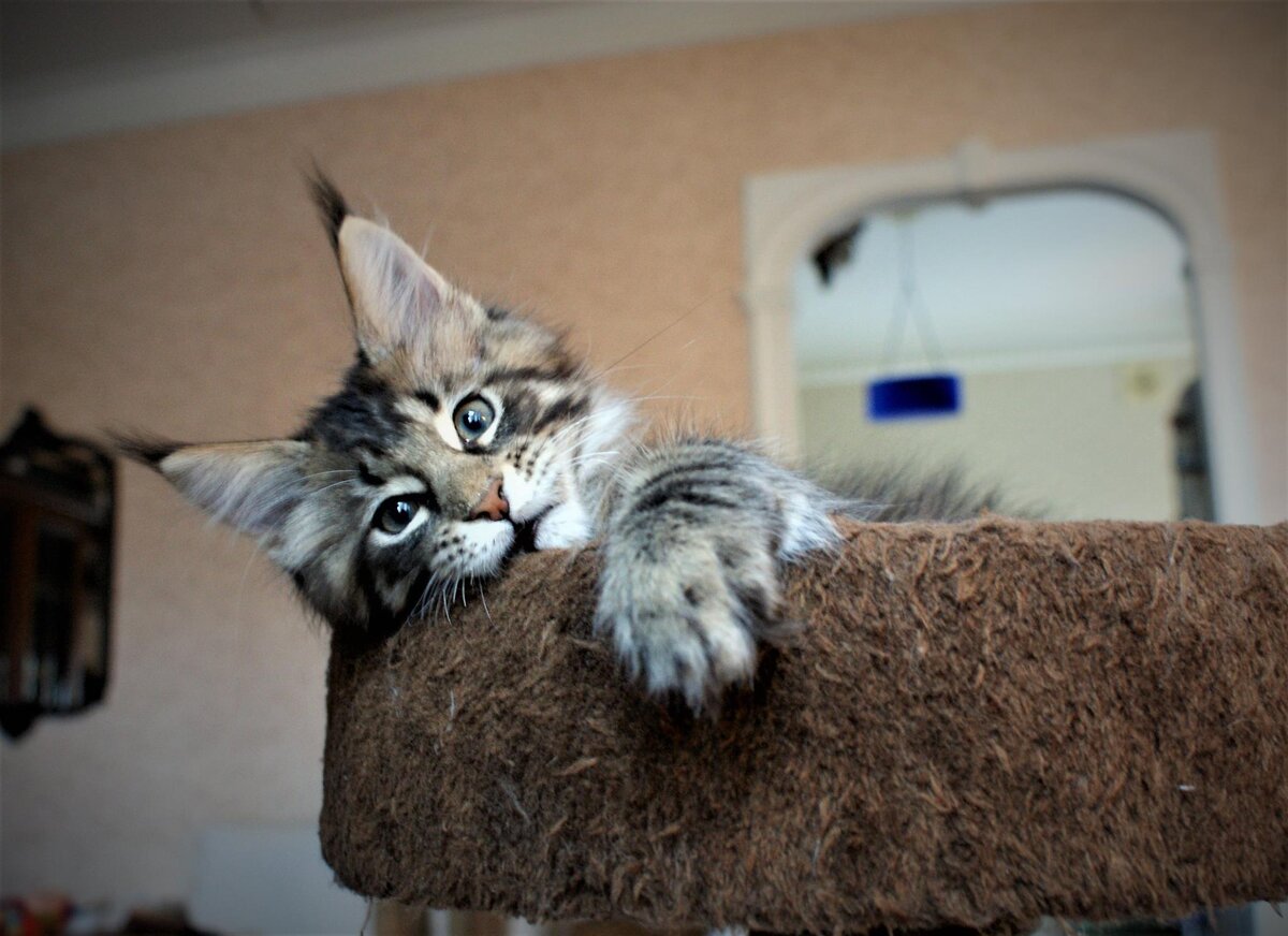 Фото из личного архива.