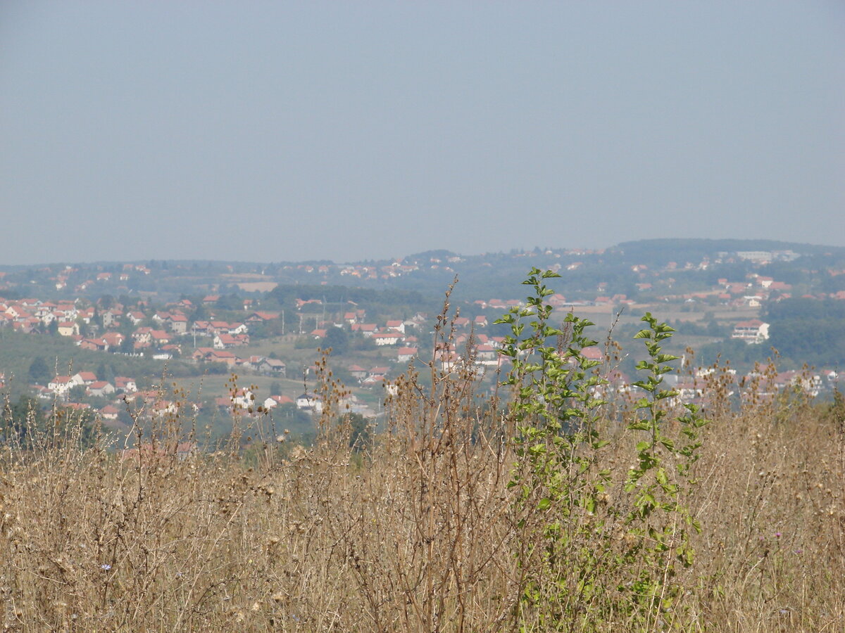 Вид на наше село. СмотрИте, сколько солнца!