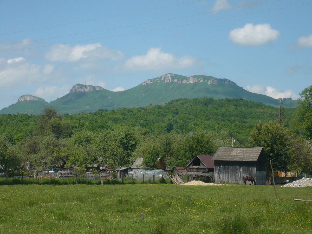 Лето в деревне. Фото автора.