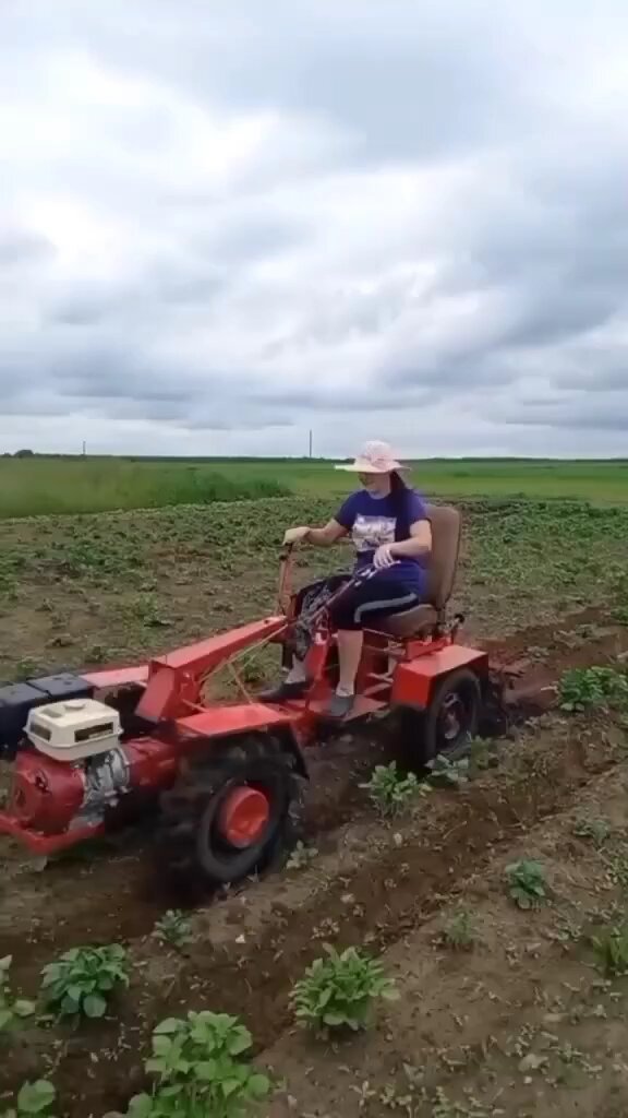 КАРТОШКА ВСЕМУ ГОЛОВА👍