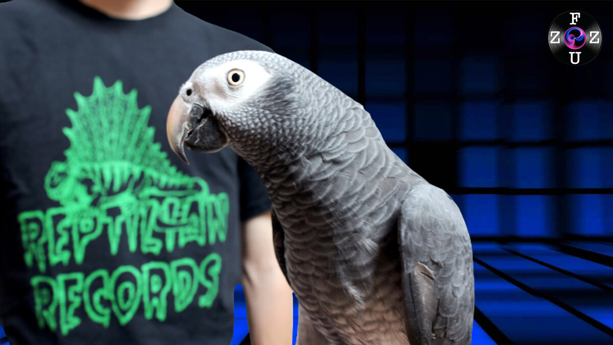 Вокалист Hatebeak