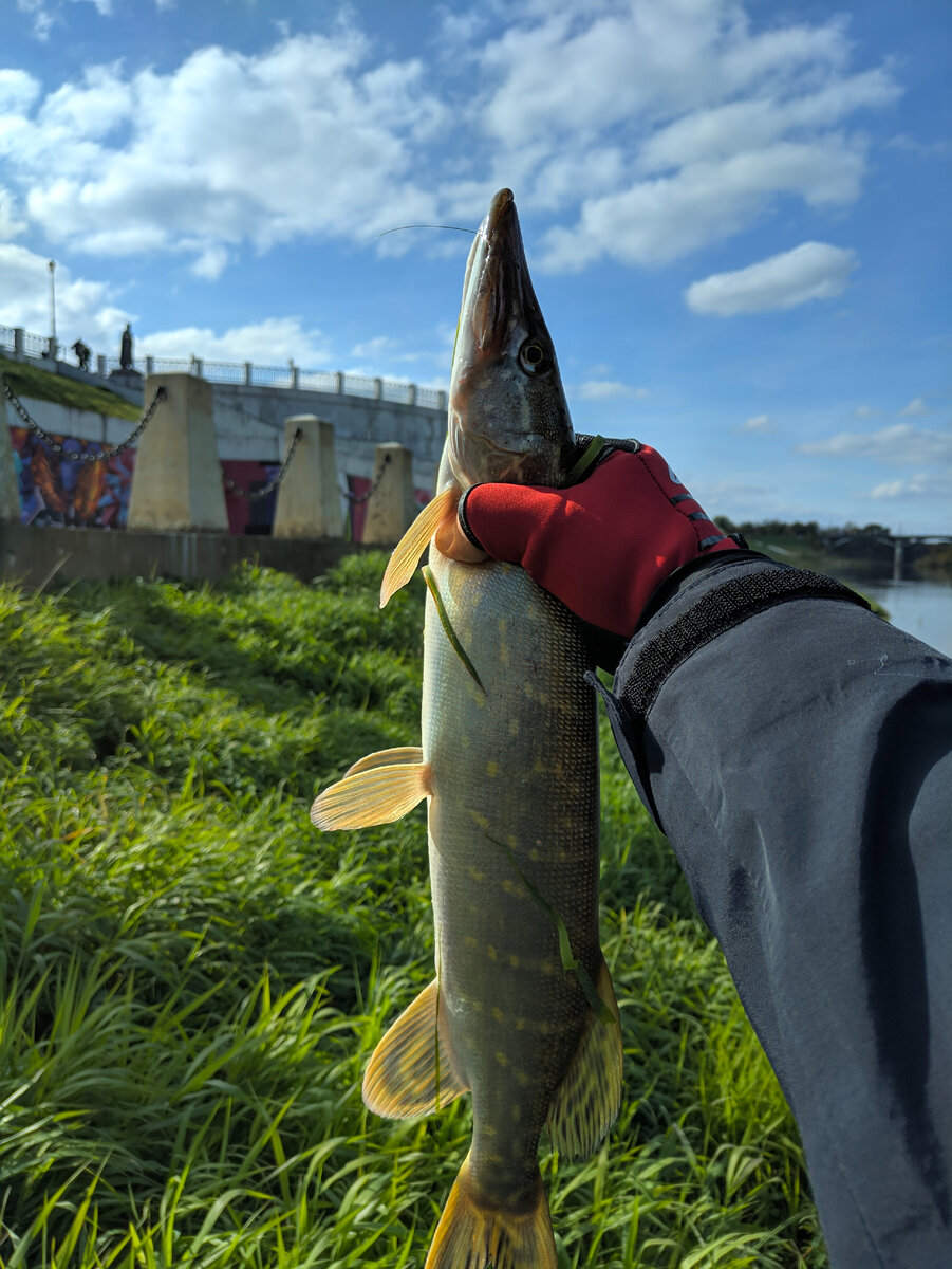 Именно здесь в конце сентября 2021 года ловил щук