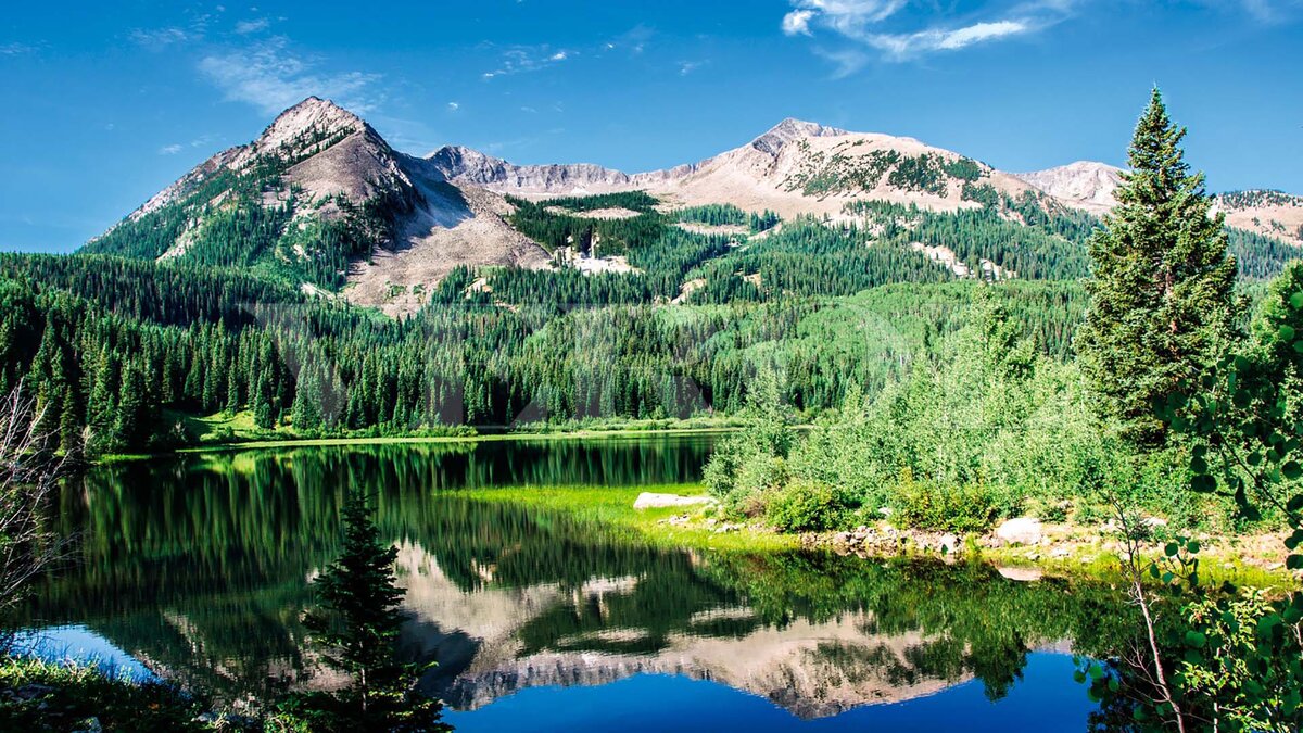 Свободный источник