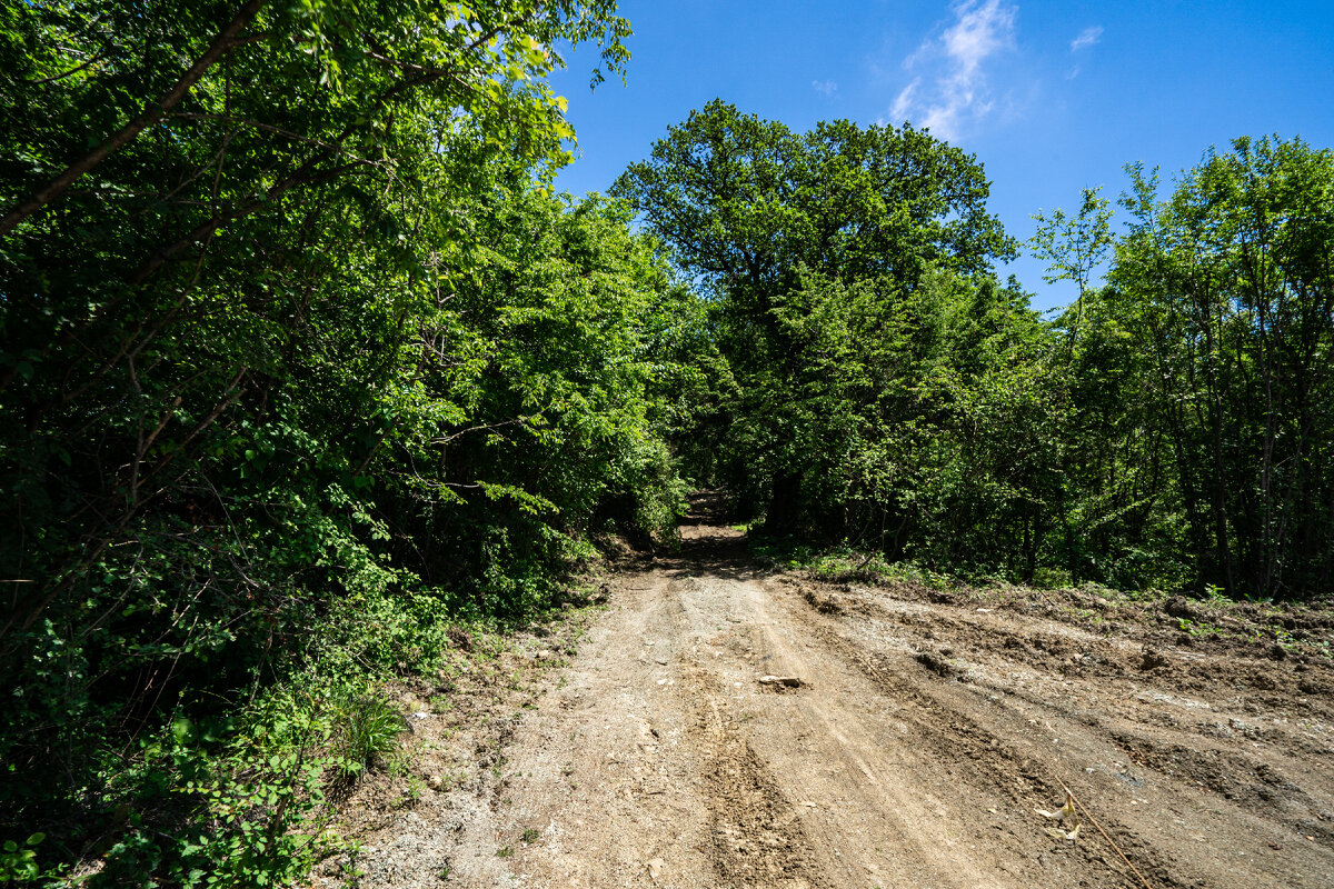 Задача для продажи земельного участка инвестору первого порядка найти дешёвый земельный участок в любом месте. Для презентабельности производится расчистка территории от деревьев. Возможна планировка территории.