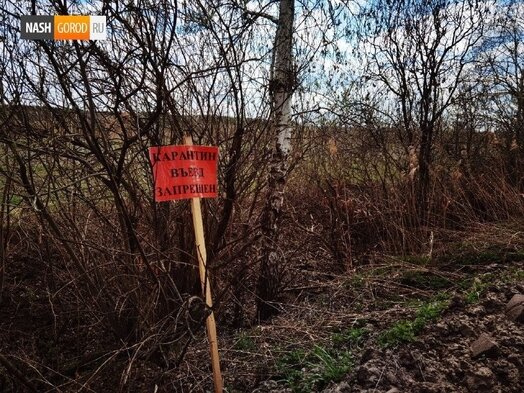 Фото:«Наш Город»