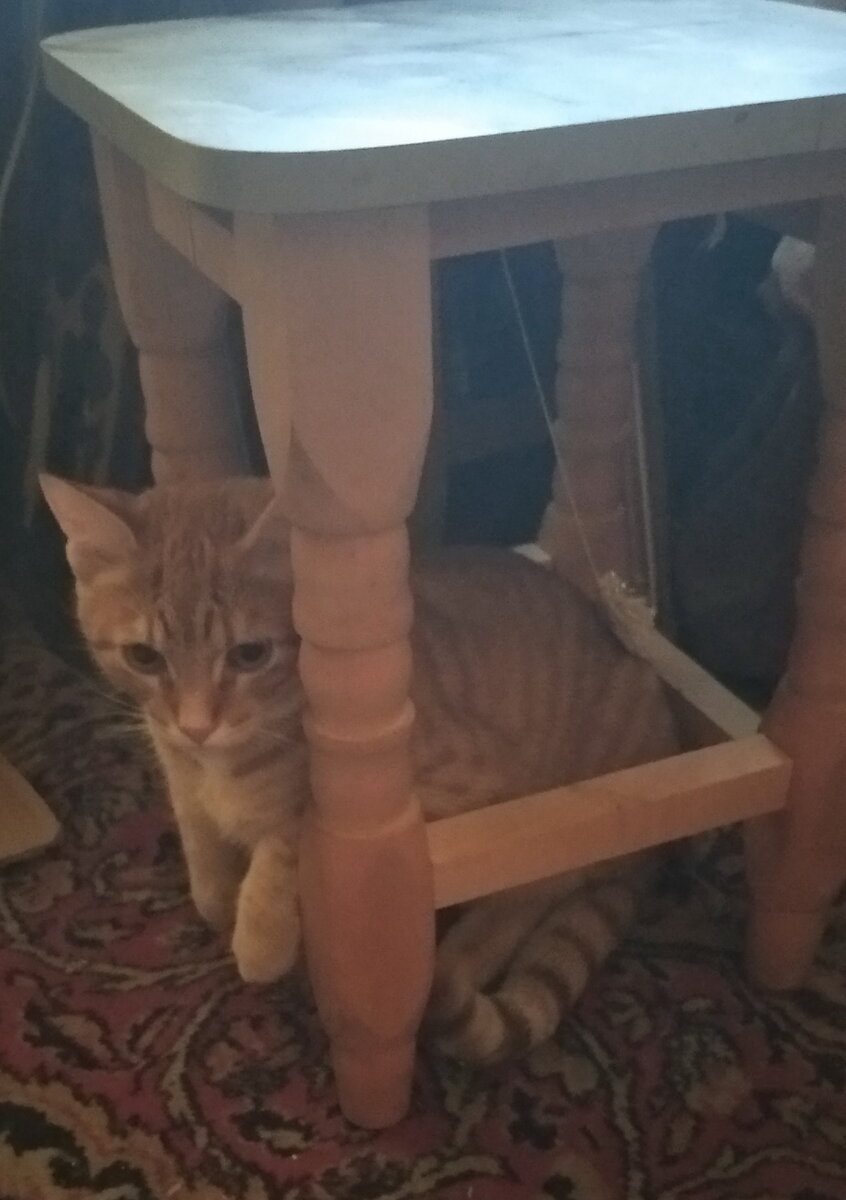 Личное фото