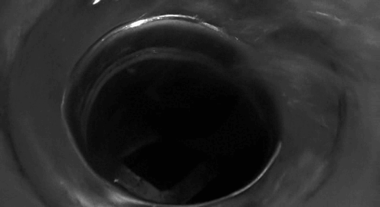 Фрагмент из фильма Альфреда Хичкока «Психо»