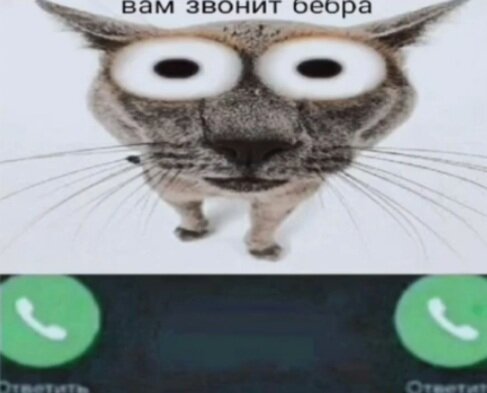 Если вы ответите то будет топ,неответить неполучится