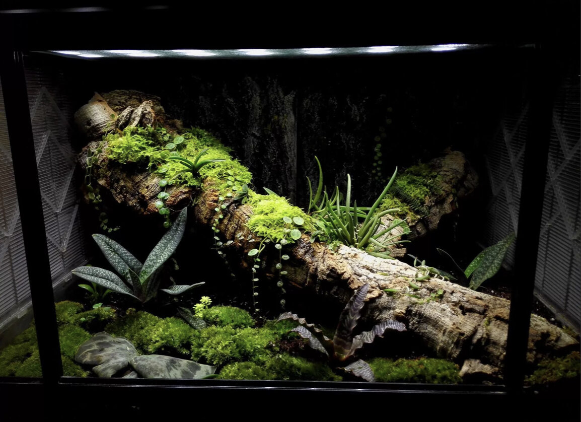 Террариум 
