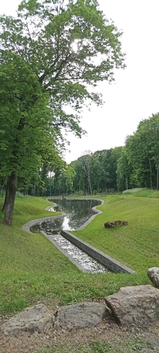 Ну вот признайтесь, вам тоже наверняка захотелось прилечь на этот дивный зеленый ковер?...