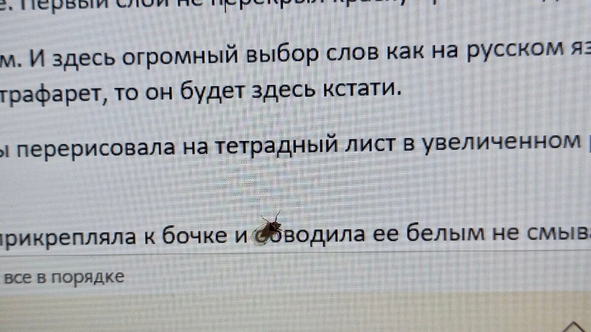 Как спастись от комаров и мошек. Сделала народное средство, теперь ни одна  букашка не тревожит | Шебби-Шик | Дзен