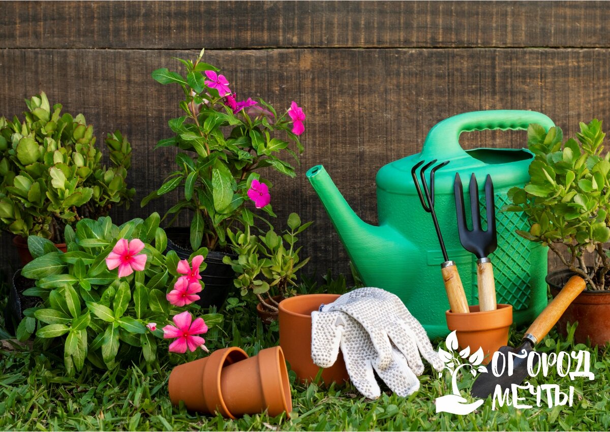 10 полезных советов для организации и ухода за грядками в саду