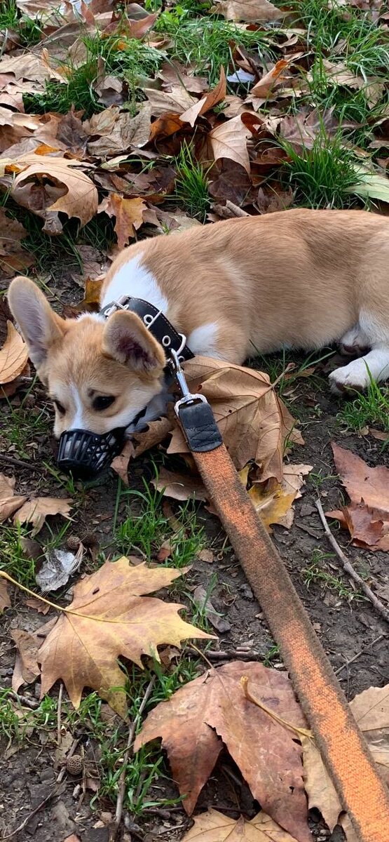 Фото из личного архива