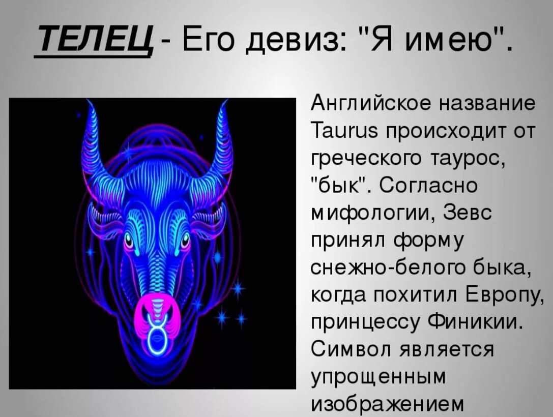 Про тельцов картинки