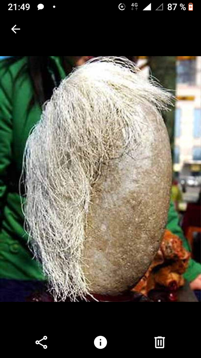 Когда твоя любимая команда проиграла матч по футболу. Источник taynyplanet.mirtesen.ru Ош