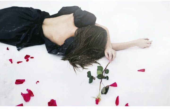 Яндекс картинки 