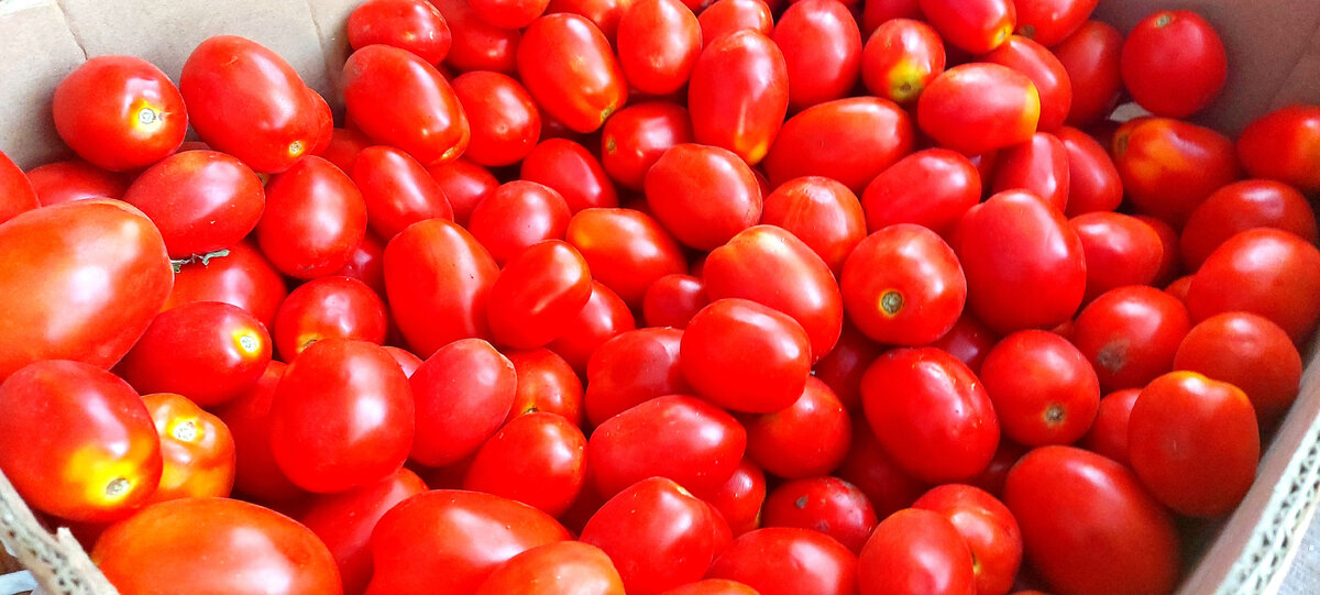 Закупили помидоры для аджики