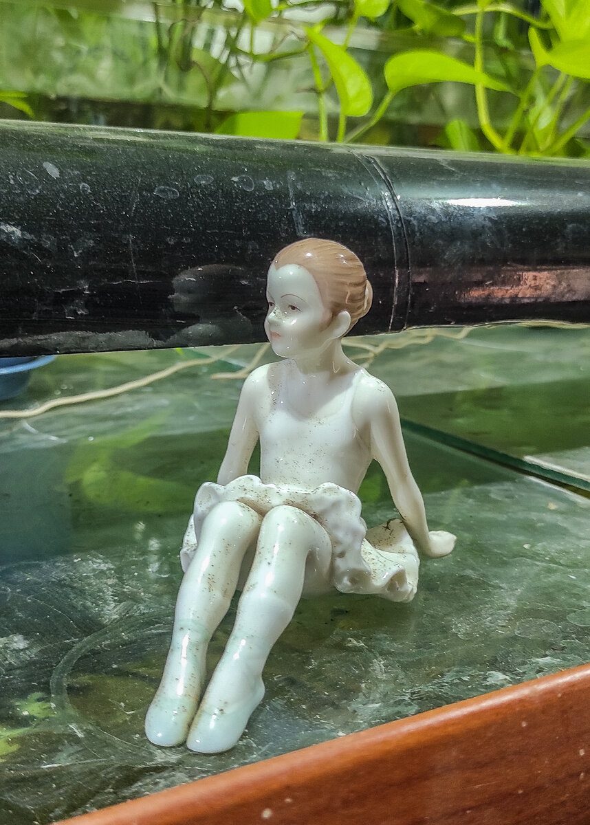 #счастьеесть #егонеможетнебыть