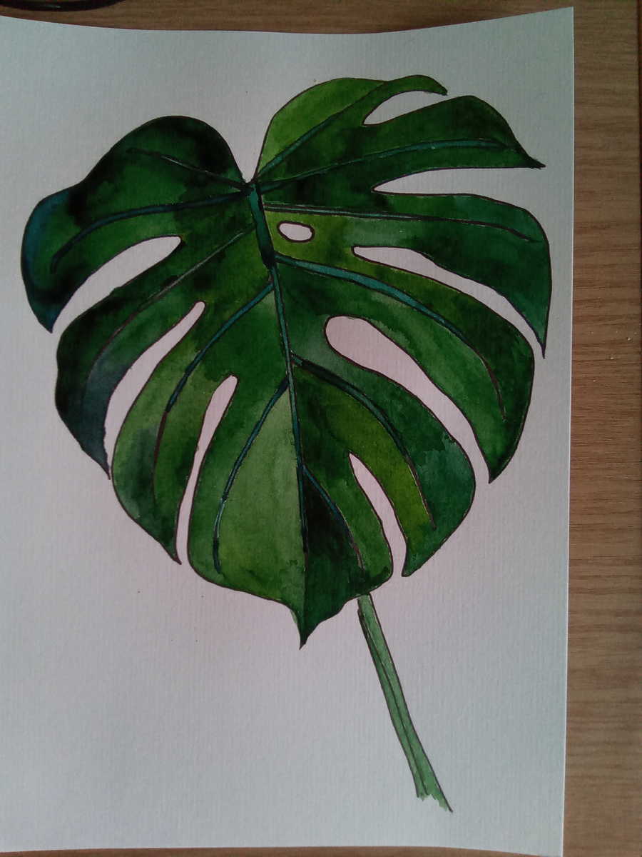 Лист монстеры. Это, скорее, получилась раскраска, сам шаблон листа я распечатала из интернета, т.к. не была уверена, что смогу нарисовать его.