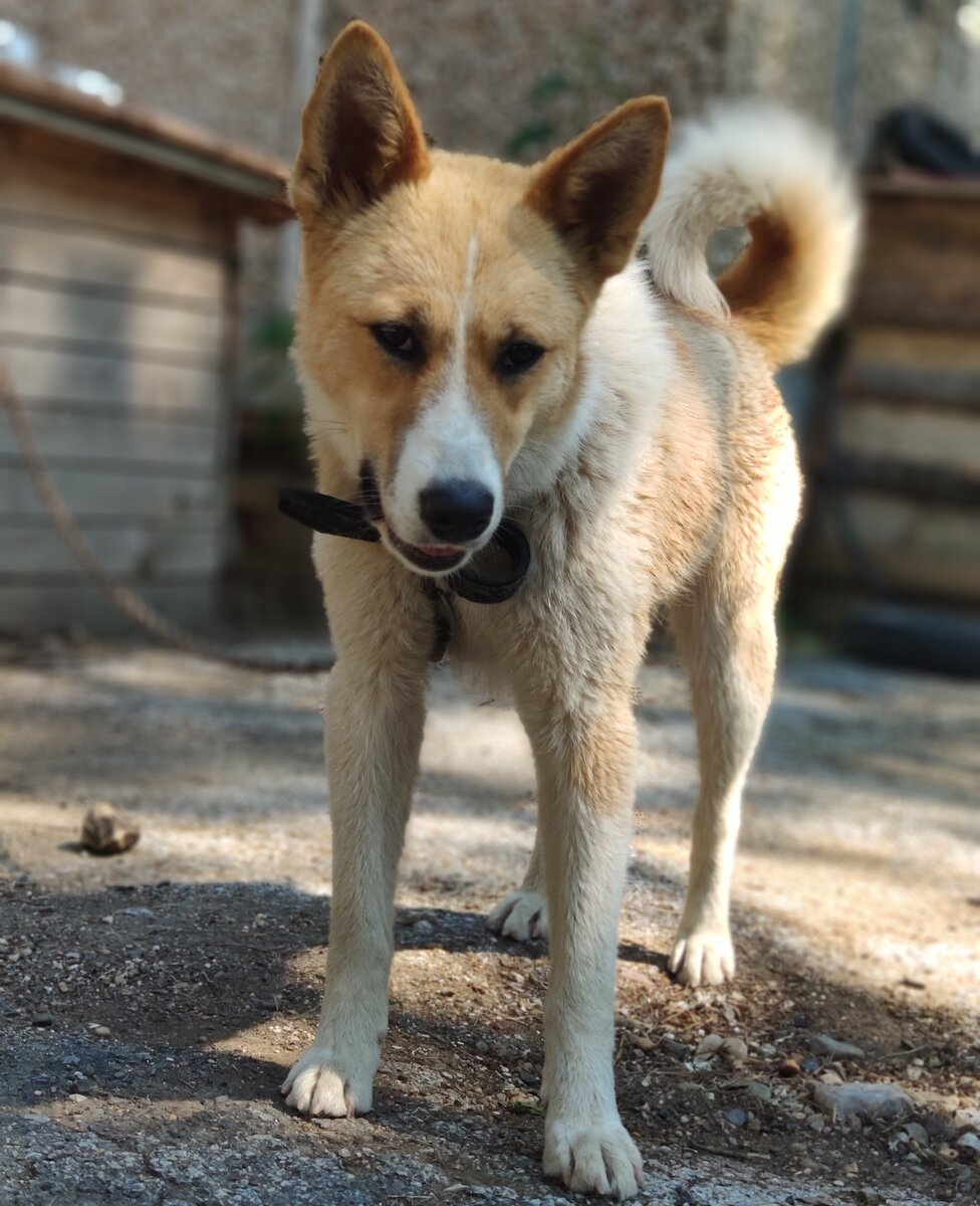 И к тому же очень фотогеничная Белла.