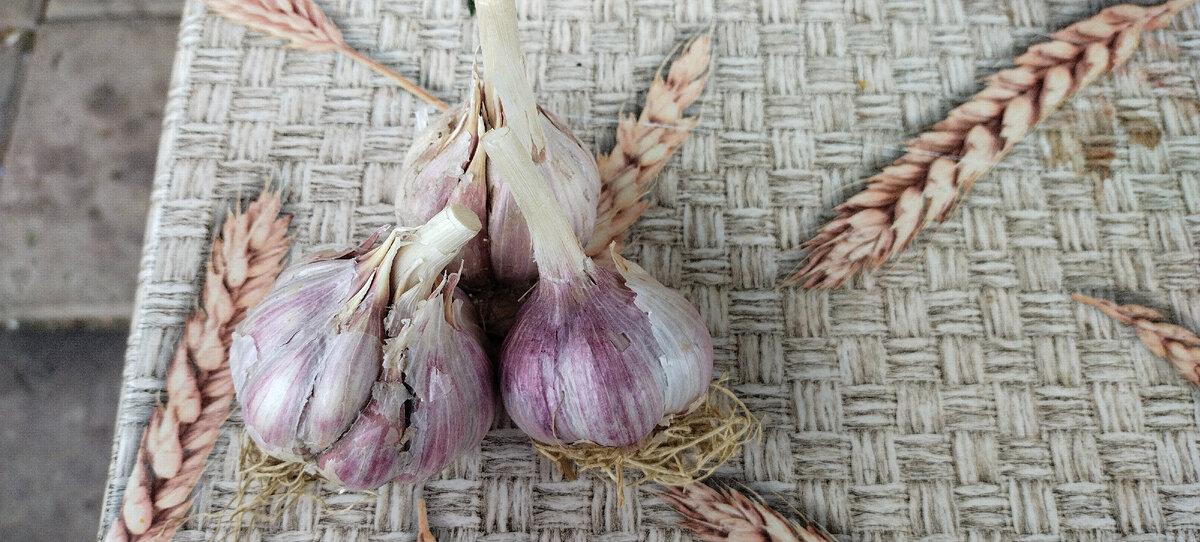 Волгоградский.