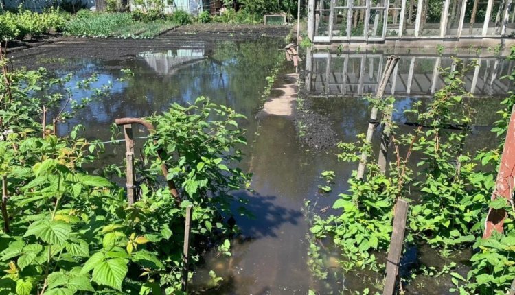 Фото: ТРОО «Экологическая защита»