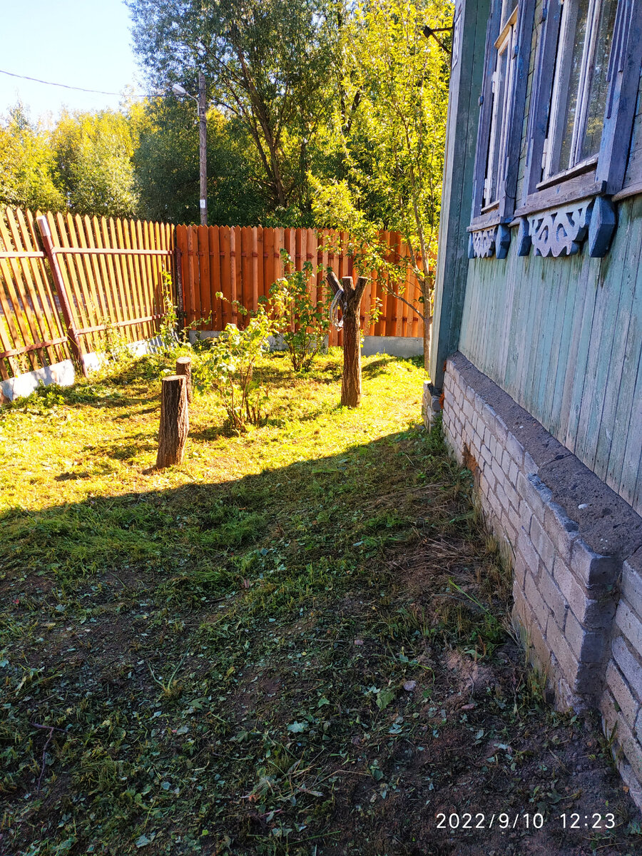 палисадник