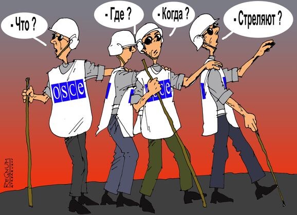    ОБСЕ Александр Горбаруков © ИА REGNUM