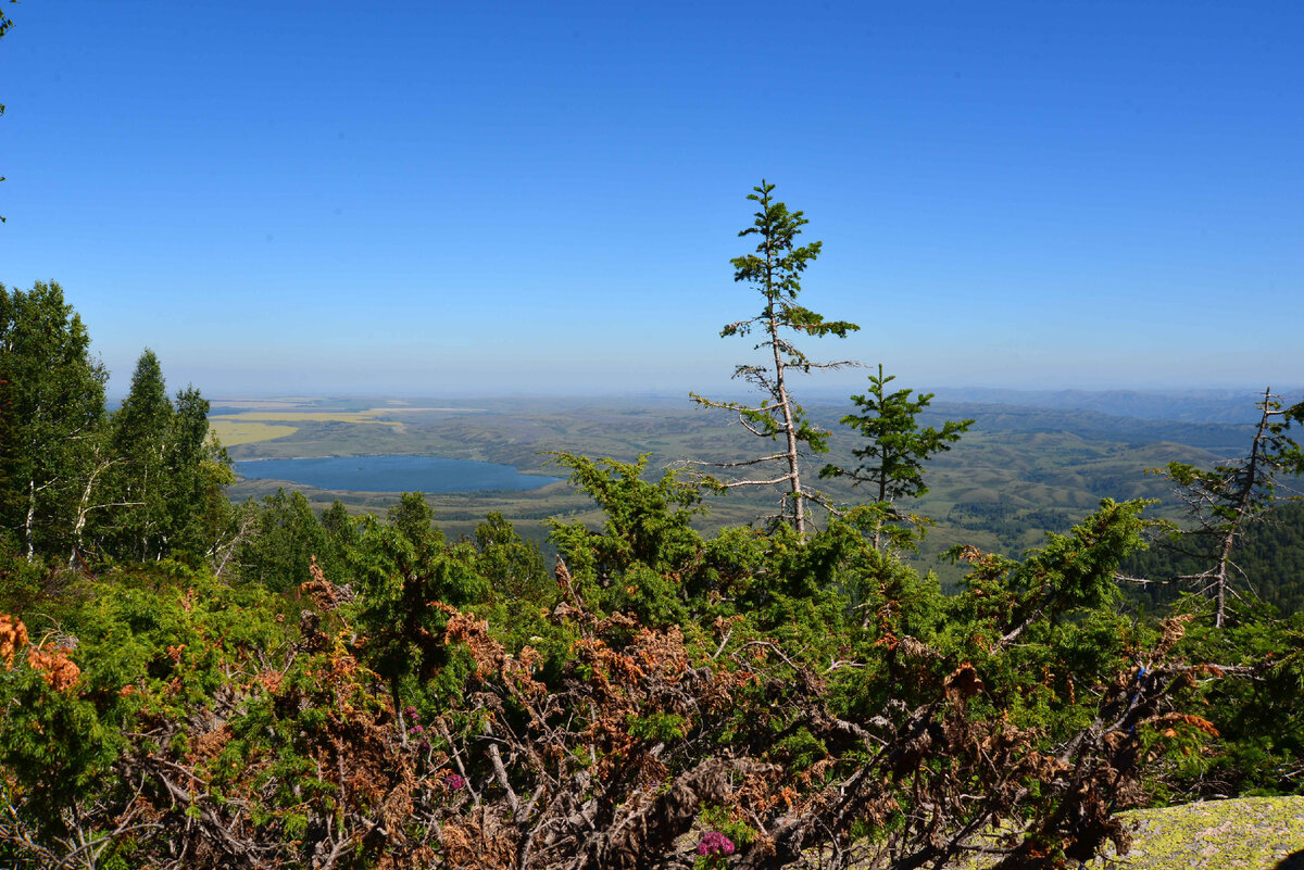 Фото Ольга Шадрина