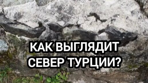 Как сейчас выглядит север Potocki: Wątpię, że USA zniszczyły Nord Stream. Rosja prawdopodobnie chciała nas