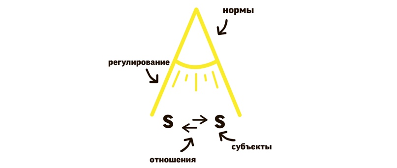 Институт состоит из