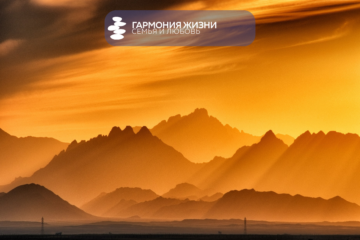 Photo by Sergey Pesterev on Unsplash