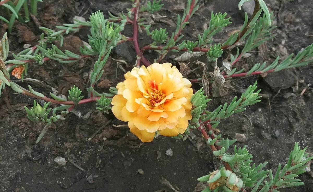 Из личного архива автора канала