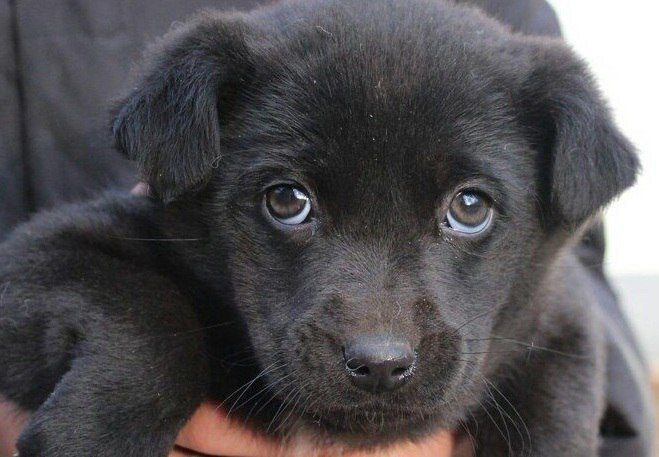 Фото с babushkinsky.mos.ru для примера