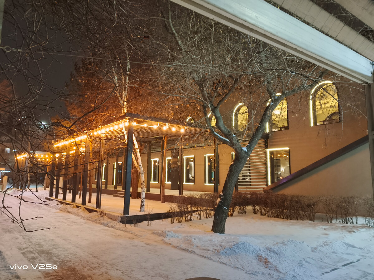 У основной камеры V25e ночной режим тоже есть. На улице совсем темно было, когда я эти фото делала, а они всё равно светлые. И цвета камера круто передаёт