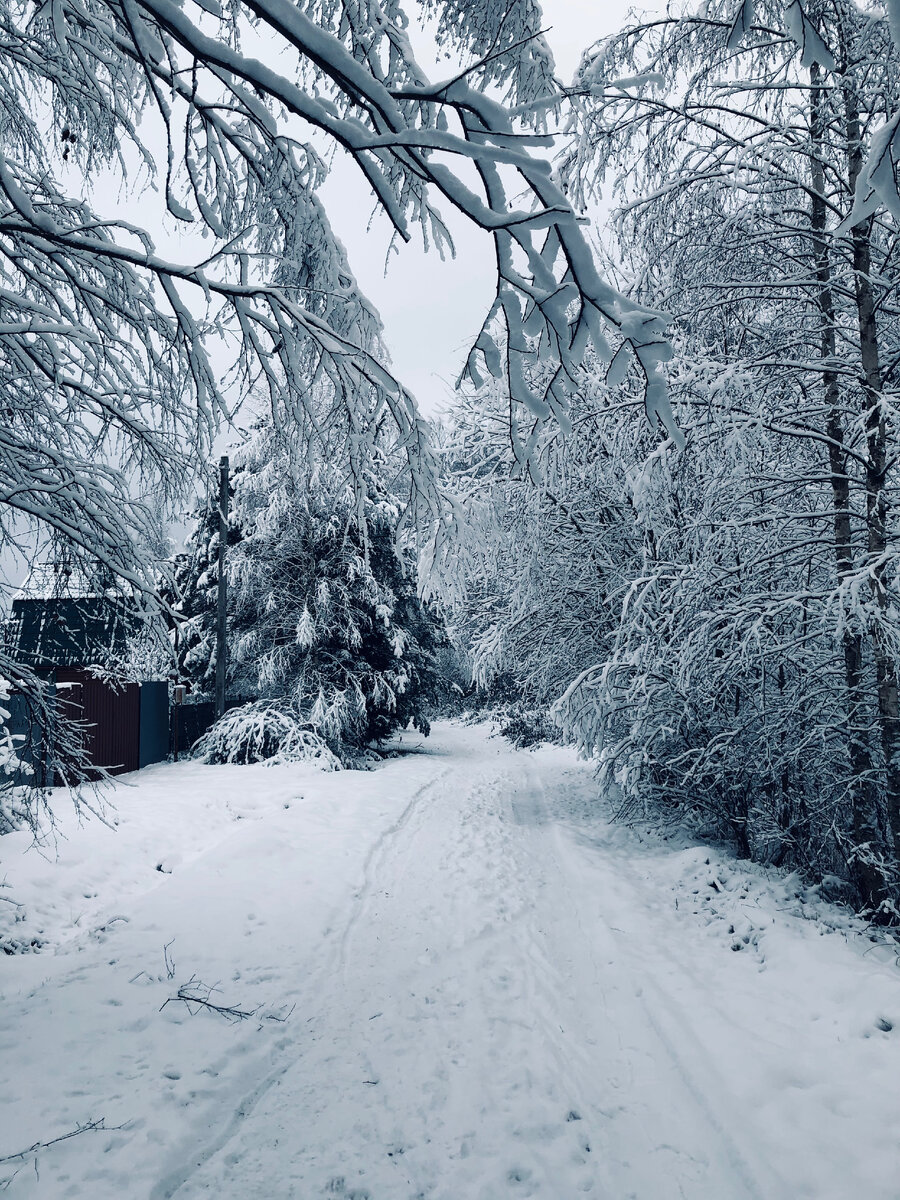 Холода, холода. Везде фото автора.