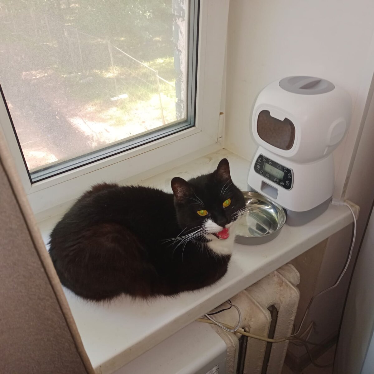 Думаю, с ролью Кисы Воробянинова он бы справился на все сто. 