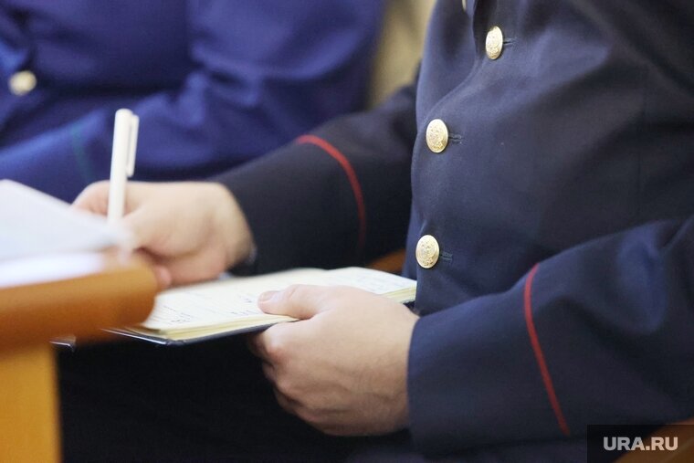    Действия Интерпола на территории РФ ограничено опросом и наведением справок