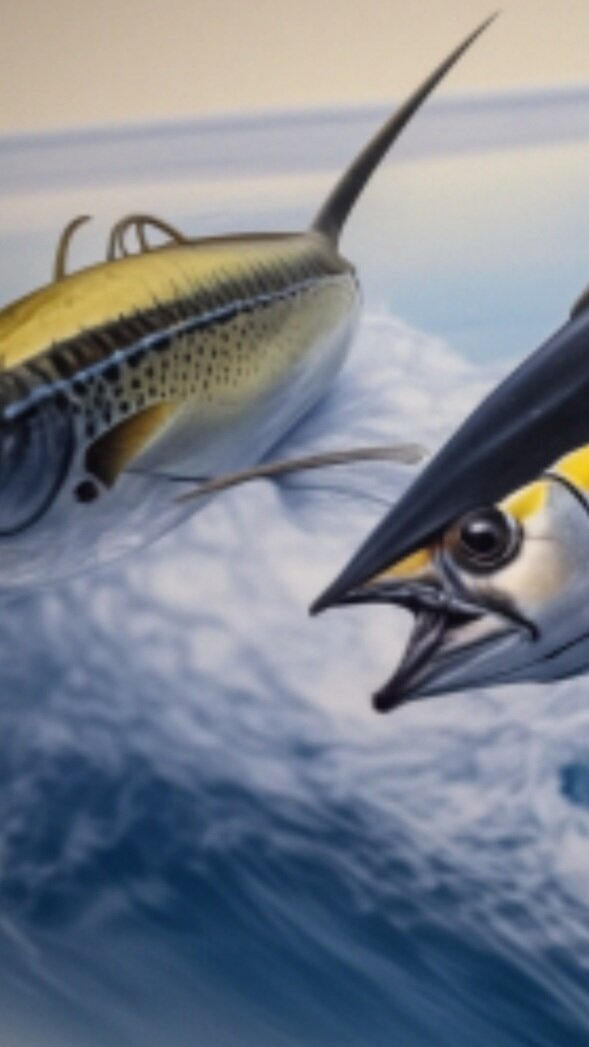 Голубой и желтоперый тунец