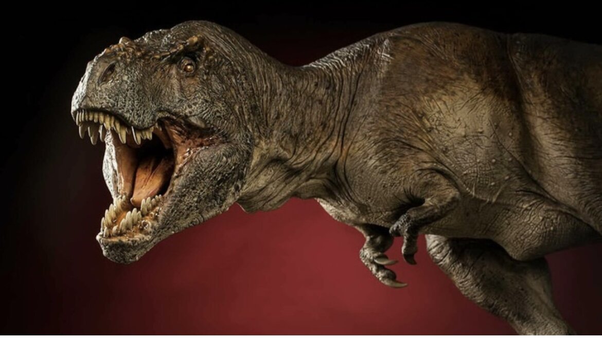 Кумир моей Старшей