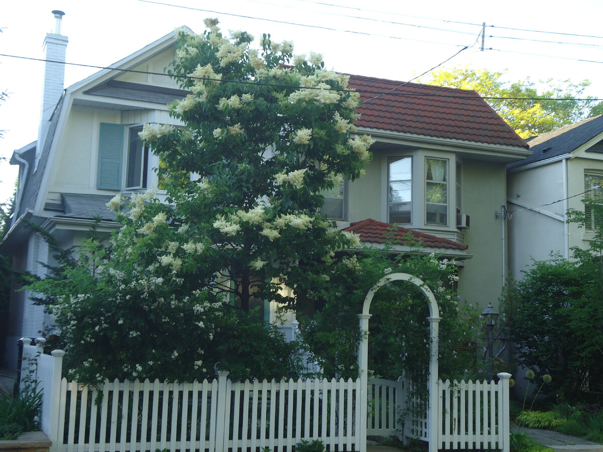 Пройдемся по коттеджному поселку в центре Торонто