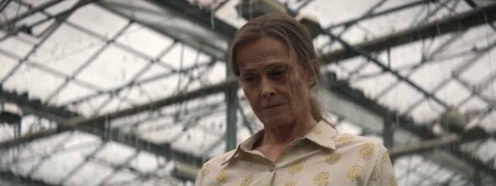 Кадр из сериала: Джун