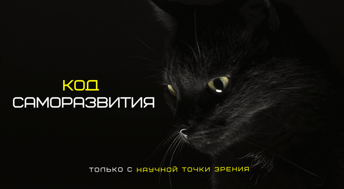 Добавьте описание