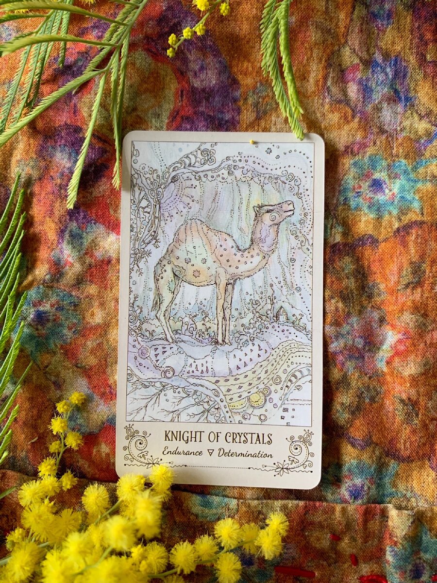 Фото из личной коллекции автора