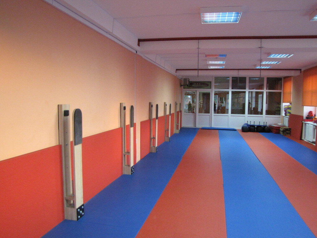 Макивары "Камертон Шилова"  http://www.makiwara.ru/