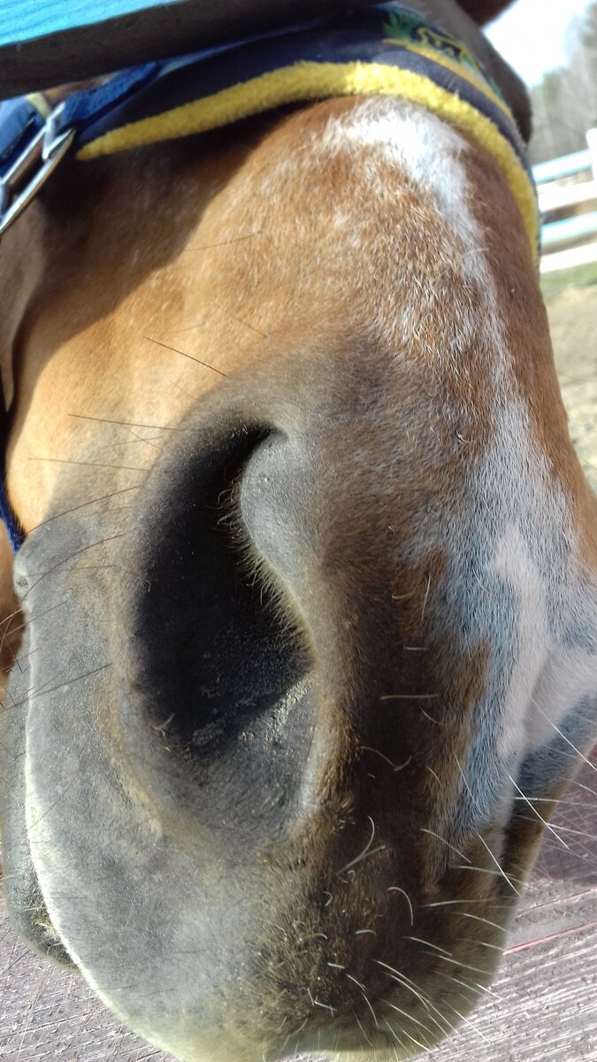 Я ваша соседка, здравствуйте!