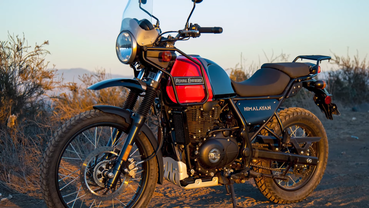 В лучах заходящего солнца